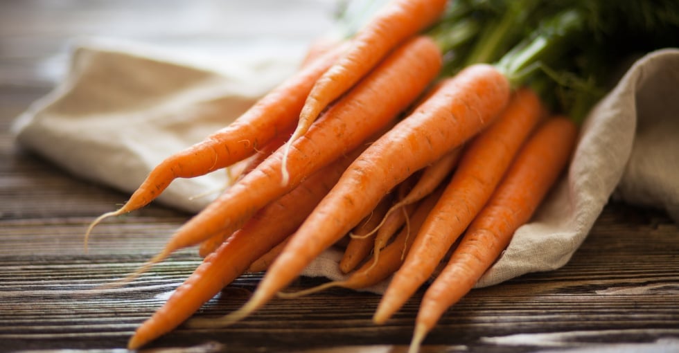 Tout savoir sur les carottes